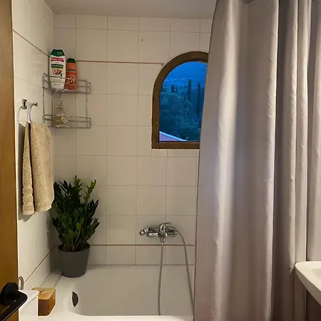 Alexandra's Boutique House